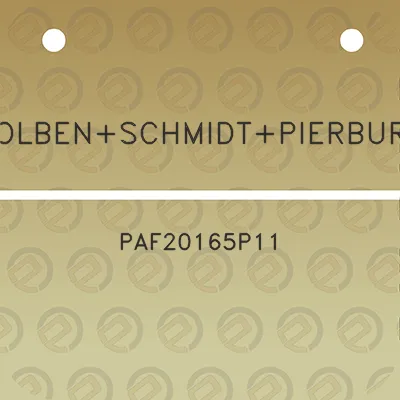 kolbenschmidtpierburg-paf20165p11