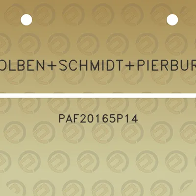 kolbenschmidtpierburg-paf20165p14