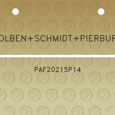 kolbenschmidtpierburg-paf20215p14