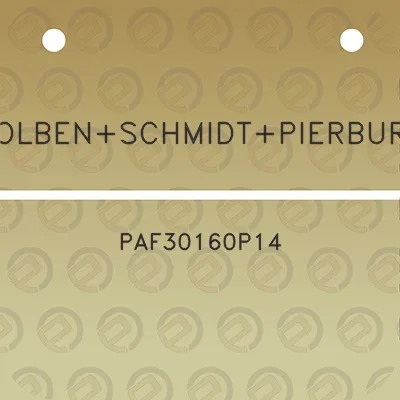 kolbenschmidtpierburg-paf30160p14