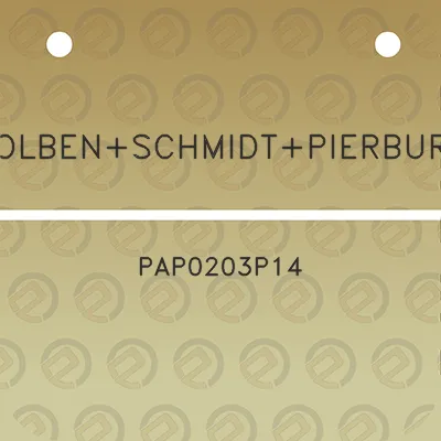 kolbenschmidtpierburg-pap0203p14