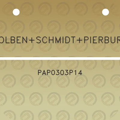 kolbenschmidtpierburg-pap0303p14