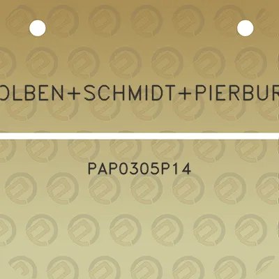 kolbenschmidtpierburg-pap0305p14