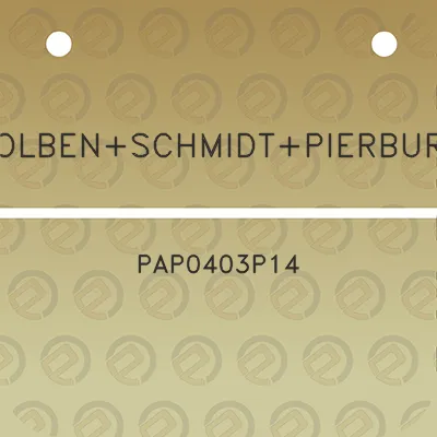 kolbenschmidtpierburg-pap0403p14