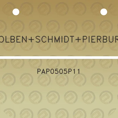 kolbenschmidtpierburg-pap0505p11