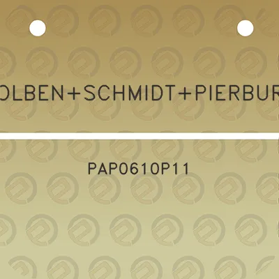 kolbenschmidtpierburg-pap0610p11