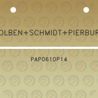 kolbenschmidtpierburg-pap0610p14