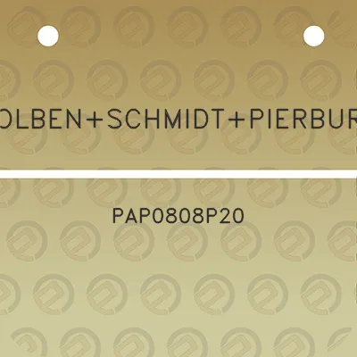 kolbenschmidtpierburg-pap0808p20