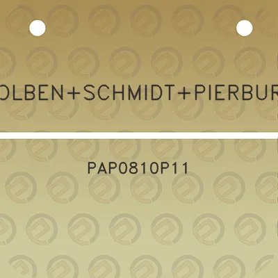 kolbenschmidtpierburg-pap0810p11