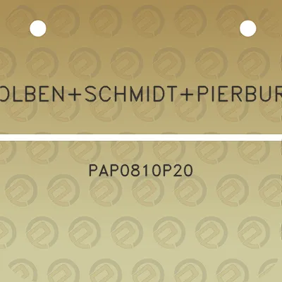 kolbenschmidtpierburg-pap0810p20