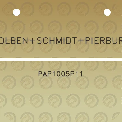 kolbenschmidtpierburg-pap1005p11