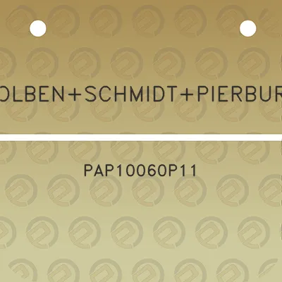 kolbenschmidtpierburg-pap10060p11