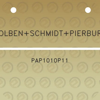 kolbenschmidtpierburg-pap1010p11