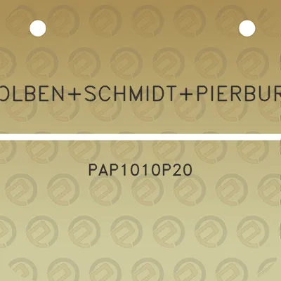 kolbenschmidtpierburg-pap1010p20