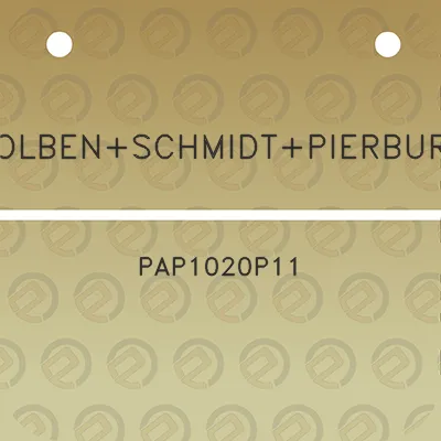 kolbenschmidtpierburg-pap1020p11