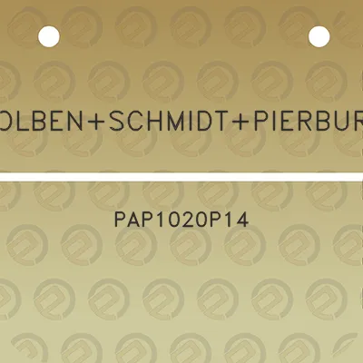 kolbenschmidtpierburg-pap1020p14