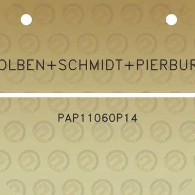 kolbenschmidtpierburg-pap11060p14