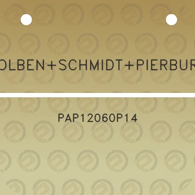 kolbenschmidtpierburg-pap12060p14