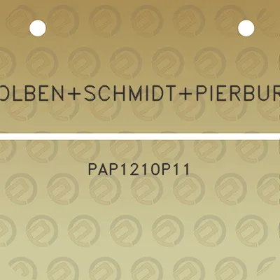 kolbenschmidtpierburg-pap1210p11