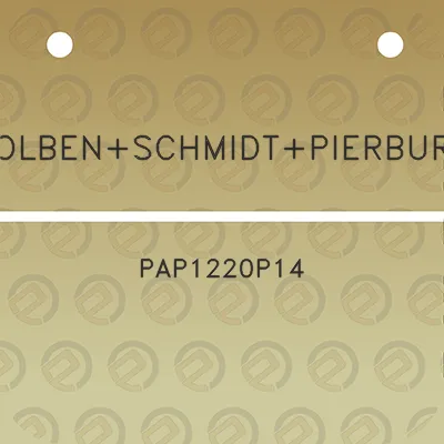 kolbenschmidtpierburg-pap1220p14