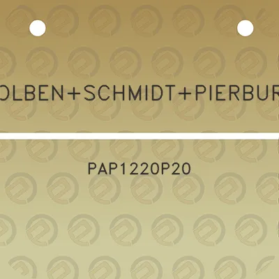 kolbenschmidtpierburg-pap1220p20