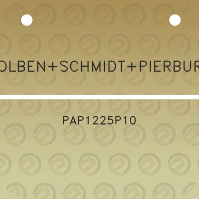 kolbenschmidtpierburg-pap1225p10