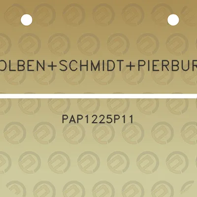 kolbenschmidtpierburg-pap1225p11