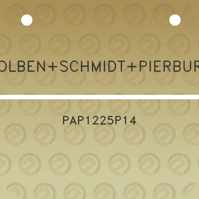 kolbenschmidtpierburg-pap1225p14