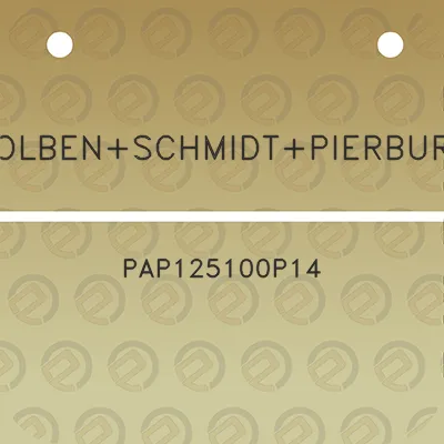 kolbenschmidtpierburg-pap125100p14