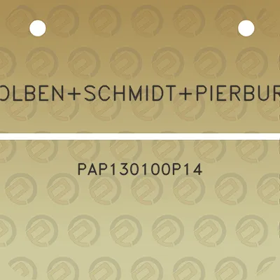 kolbenschmidtpierburg-pap130100p14