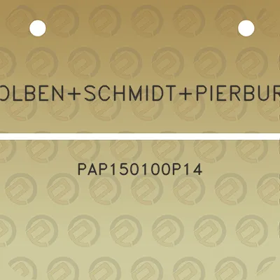 kolbenschmidtpierburg-pap150100p14