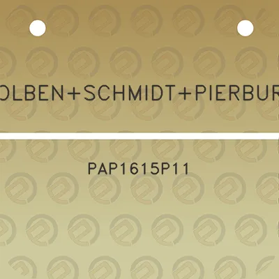 kolbenschmidtpierburg-pap1615p11