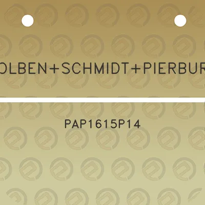 kolbenschmidtpierburg-pap1615p14