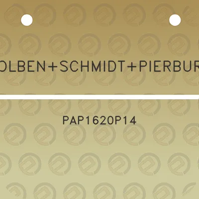 kolbenschmidtpierburg-pap1620p14