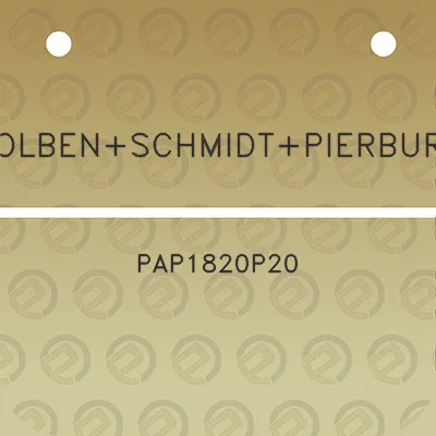 kolbenschmidtpierburg-pap1820p20