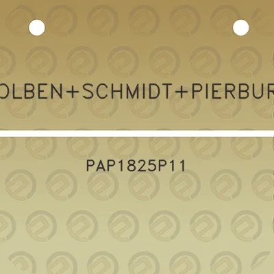 kolbenschmidtpierburg-pap1825p11