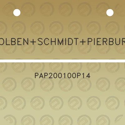 kolbenschmidtpierburg-pap200100p14