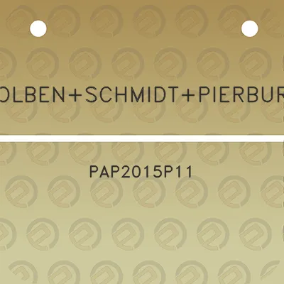 kolbenschmidtpierburg-pap2015p11