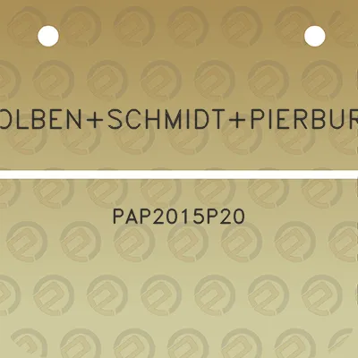 kolbenschmidtpierburg-pap2015p20