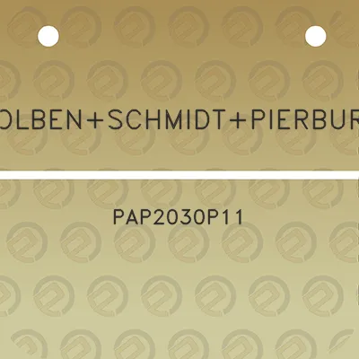 kolbenschmidtpierburg-pap2030p11