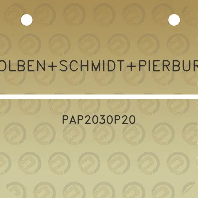 kolbenschmidtpierburg-pap2030p20