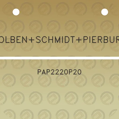 kolbenschmidtpierburg-pap2220p20