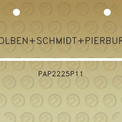 kolbenschmidtpierburg-pap2225p11