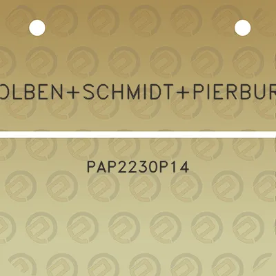 kolbenschmidtpierburg-pap2230p14