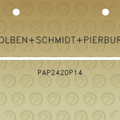 kolbenschmidtpierburg-pap2420p14