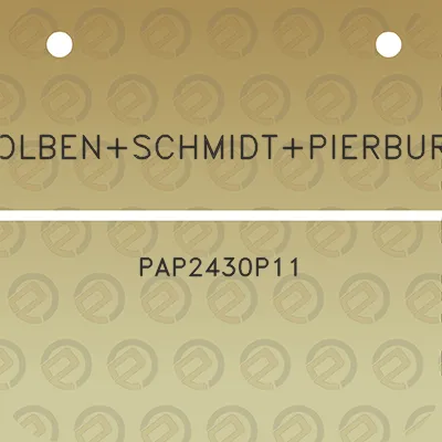 kolbenschmidtpierburg-pap2430p11