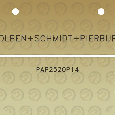 kolbenschmidtpierburg-pap2520p14