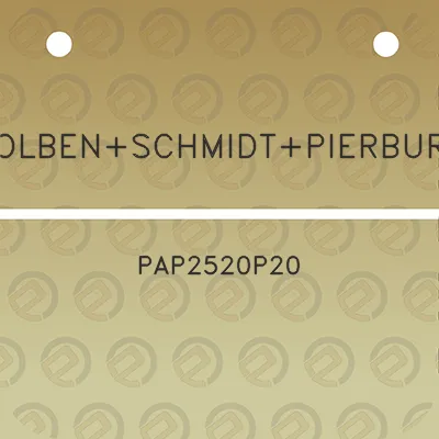 kolbenschmidtpierburg-pap2520p20