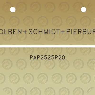 kolbenschmidtpierburg-pap2525p20