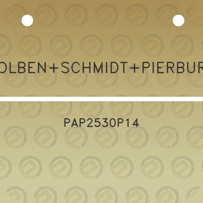 kolbenschmidtpierburg-pap2530p14